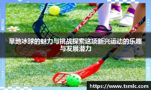 旱地冰球的魅力与挑战探索这项新兴运动的乐趣与发展潜力