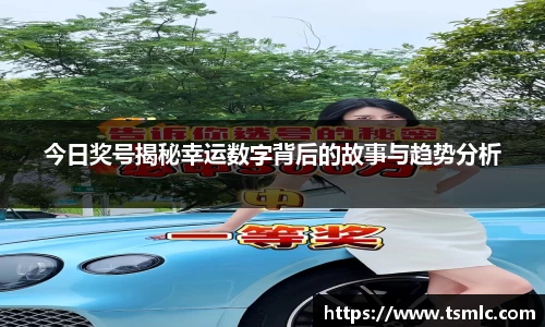 今日奖号揭秘幸运数字背后的故事与趋势分析