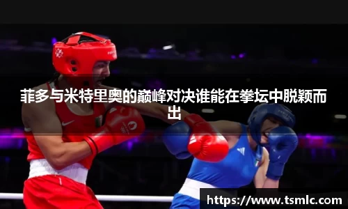 菲多与米特里奥的巅峰对决谁能在拳坛中脱颖而出